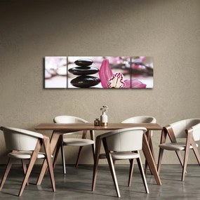 Obraz kamieni do masażu i storczyków (170x50 cm)