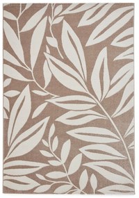 Jasnobrązowy dywan 160x230 cm Sorral Leaves – Catherine Lansfield