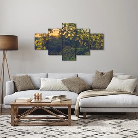 Obraz - Winnica (125x70 cm)