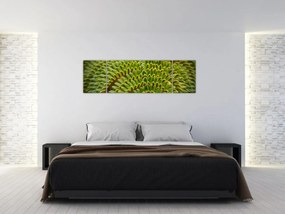 Obraz - Paproć (170x50 cm)