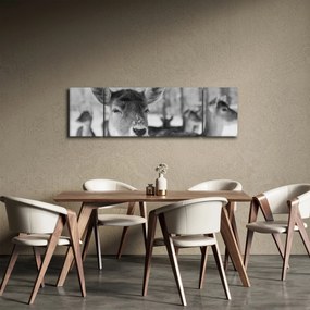 Obraz - Jelonki, czarno - biały (170x50 cm)