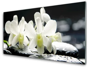 Obraz Akrylowy Kamienie Kwiaty Orchidea
