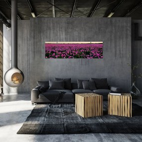 Obraz - Łąka fioletowych tulipanów (170x50 cm)