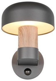 Zewnętrzna lampa ścienna (wysokość 24,5 cm) Fraser – Trio