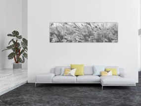 Obraz - Trawa na wietrze (170x50 cm)