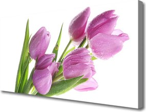 Obraz canvas Pastelowe Tulipany w Ogrodzie