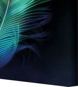 Obraz na płótnie Peacock Eye