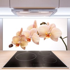 Panel Kuchenny Botaniczna Elegancja Kwiatów