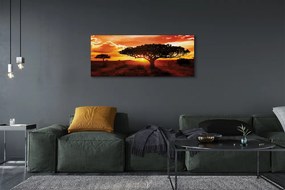 Obraz na płótnie Drzewa i Chmury o Zachodzie