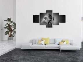 Obraz - Małpa (125x70 cm)