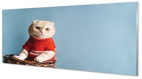 Panel Szklany Siedzący kot