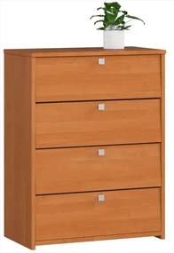 Szafka na buty w kolorze olchy T9-A24