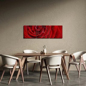 Obraz - szczegół róży (z zegarem) (90x30 cm)