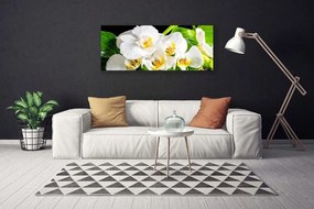 Obraz canvas Królewska Orchidea w Rozkwicie