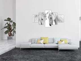 Obraz białych koni (125x70 cm)