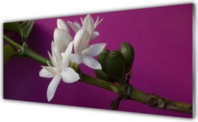 Panel nad blat kuchenny Rozkwitająca Flora Botaniczna