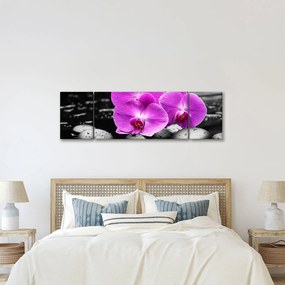 Obraz - Fioletowe orchidee (170x50 cm)