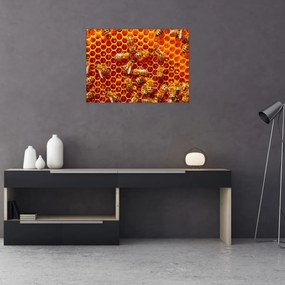 Obraz na szkle - Plaster miodu (70x50 cm)