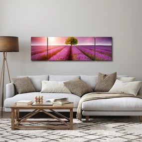 Obraz pola z lawendą (170x50 cm)