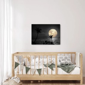 Obraz - Plaża pod pełnią księżyca w odcieniach szarości (70x50 cm)