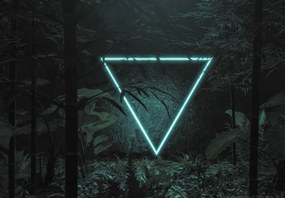 Fototapeta - Neonowy trójkąt w dżungli (196x136 cm)