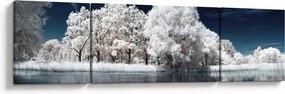 Obraz - Śnieżnobiałe drzewa (170x50 cm)