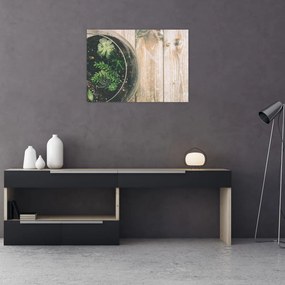 Obraz na szkle sukulentów w szkle (70x50 cm)