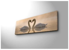Obraz na płótnie Swan Love, 90x30 cm