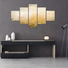 Obraz - Pole jesienią (125x70 cm)