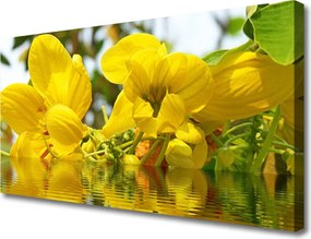 Obraz canvas Świeżość Wiosennej Natury