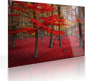 Obraz na szkle - Czerwony Las (70x50 cm)