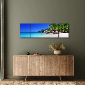 Obraz plaży na wyspie Praslin (170x50 cm)