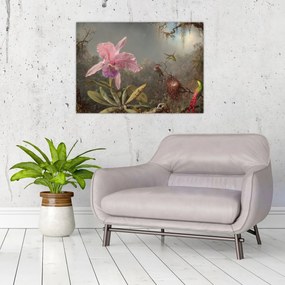 Obraz - Martin Johnson Heade, Cattleya Orchid and Three Hummingbirds, reprodukcje (70x50 cm)