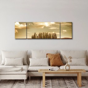 Obraz leśnej łąki (170x50 cm)