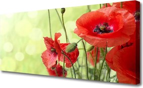 Obraz canvas Pole Czerwonych Maków