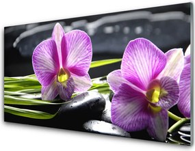 Panel Szklany Świątynia Relaksu: Storczyk i Głazy