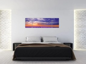 Obraz lawendowego pola (170x50 cm)