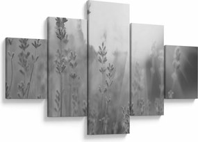 Obraz - Lawenda (125x70 cm)
