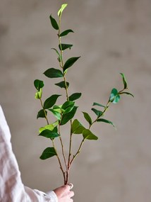 Sztuczny eukaliptus (wysokość 110 cm) Eucalyptus – Bloomingville
