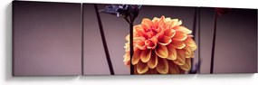 Obraz - Kwiat (170x50 cm)