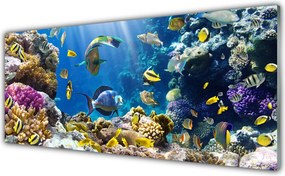 Panel nad blat kuchenny Kolorowa Rafa Koralowa