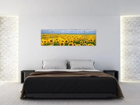 Obraz pola słoneczników (170x50 cm)