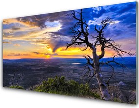 Panel Szklany do Kuchni Sylwetka Drzewa o Zachodzie