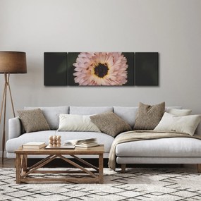 Obraz pomarańczowego kwiatu (170x50 cm)