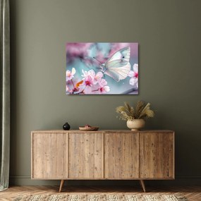Obraz na szkle - Motyl na drzewie wiśni (70x50 cm)
