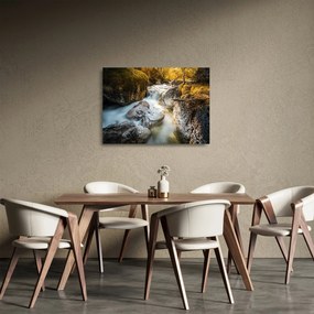 Obraz na szkle - Strumień leśny (70x50 cm)