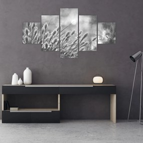 Obraz - Beżowa miękka trawa N⁰1 (125x70 cm)