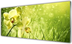 Szkło Dekoracyjne do Kuchni Świeżość Zielonych Źdźbeł