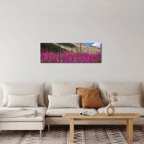 Obraz scenerii łąki górskiej (z zegarem) (90x30 cm)
