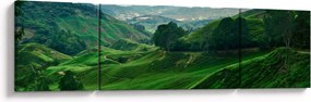 Obraz - Plantacje herbaty w Malezji (170x50 cm)